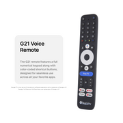 BuzzTV G21 Voice Remote (Only for G-Series)